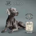 OLLO Pure Horse Mono - märg koeratoit - 850g OLLO Pure Horse Mono - märg koeratoit - 850g