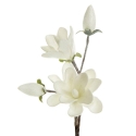 Eurofirany KW/FLORE/667/B+S 60X12 (X6) B+SRE Eurofirany KW/FLORE/667/B+S 60X12 (X6) B+SRE