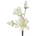 Eurofirany KW/FLORE/667/B+S 60X12 (X6) B+SRE Eurofirany KW/FLORE/667/B+S 60X12 (X6) B+SRE