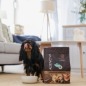 ADDVENA Sustiprintas supermaisto Suaugusiems Mažiems Šunims su Jautiena - sausas šunų ėdalas - 2,5kg ADDVENA Sustiprintas supermaisto Suaugusiems Mažiems Šunims su Jautiena - sausas šunų ėdalas - 2,5kg