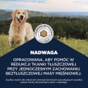 EUKANUBA Special Care Perteigiami Suaugę Visų Veislių – sausi šunų ėdalai – 12kg