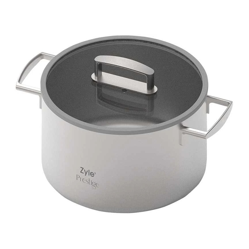 Zyle Prestige ZY1740CS Stainless Steel Pot, 6.5 l