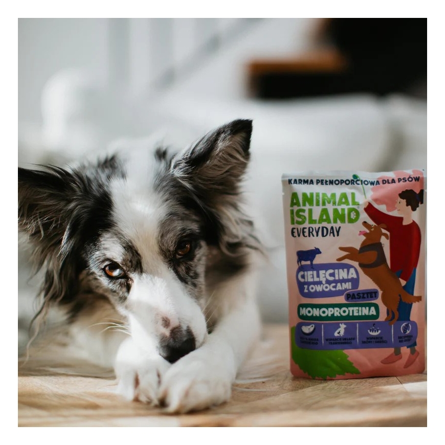 ANIMAL ISLAND Igapäevane Monoproteiin Veiseliha - märg koeratoit - 300g – 2