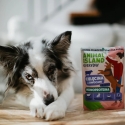 ANIMAL ISLAND Igapäevane Monoproteiin Veiseliha - märg koeratoit - 300g ANIMAL ISLAND Igapäevane Monoproteiin Veiseliha - märg koeratoit - 300g