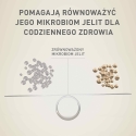 PURINA One Mini/Väike Aktiivne Kanaga ja riisiga - kuiv koeratoit - 800g