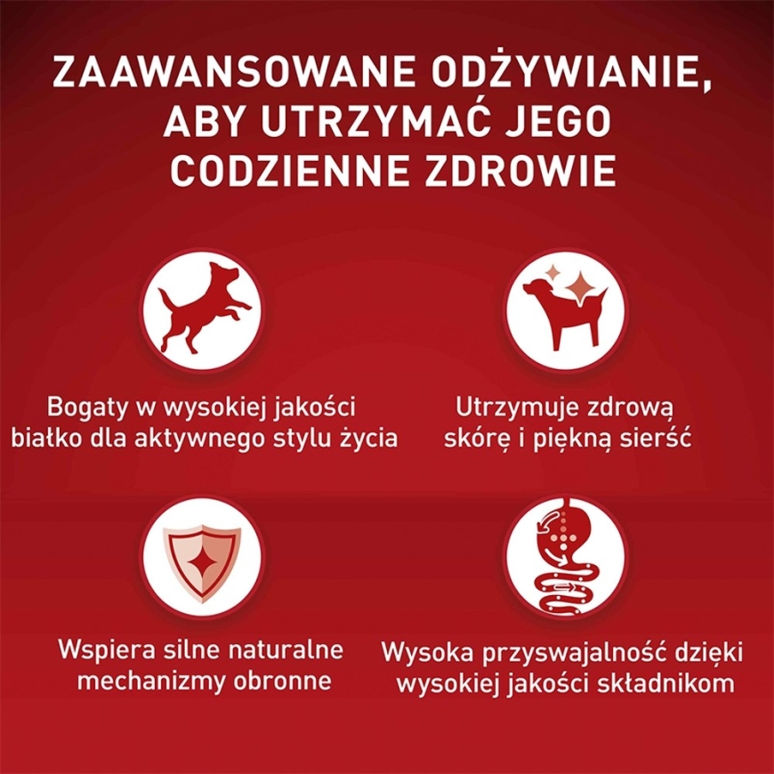 PURINA One Mini/Small Active Bagāts ar vistu un rīsiem - sausa suņu barība - 800g – 4