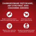 PURINA One Mini/Small Active с курицей и рисом - сухой корм для собак - 800 г PURINA One Mini/Small Active с курицей и рисом - сухой корм для собак - 800 г