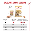 ROYAL CANIN French Bulldog Adult Digestive Health Loaf Box - wet dog food - 12x85g ROYAL CANIN French Bulldog Adult Digestive Health Loaf Box - wet dog food - 12x85g