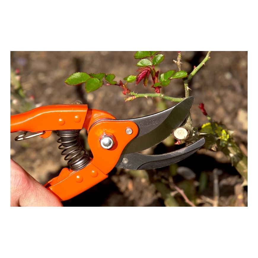 Bahco Folding Traditional Pruner Narrow Head. Total length 200 mm. Cuts 20 mm. Replacement parts are available. BESTSELLING MODE