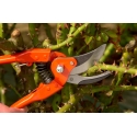 Bahco Folding Traditional Pruner Narrow Head. Total length 200 mm. Cuts 20 mm. Replacement parts are available. BESTSELLING MODE Bahco Folding Traditional Pruner Narrow Head. Total length 200 mm. Cuts 20 mm. Replacement parts are available. BESTSELLING MODE