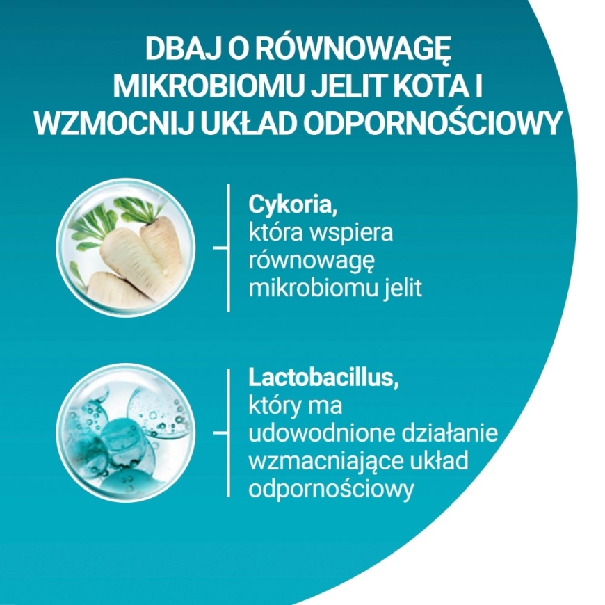 PURINA One Bifensis Sensitive с индейкой - сухой корм для кошек - 750 г – 4