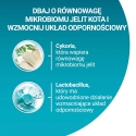 PURINA One Bifensis Sensitive Rich in Turkey - dry cat food - 750g PURINA One Bifensis Sensitive Rich in Turkey - dry cat food - 750g
