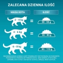 PURINA One Bifensis Sensitive, runsaasti kalkkunaa - kuiva kissanruoka - 750g PURINA One Bifensis Sensitive, runsaasti kalkkunaa - kuiva kissanruoka - 750g
