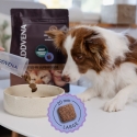 ADDVENA Boosted by Superfoods Adult Medium/Large Beef - dry dog food - 2.5kg ADDVENA Boosted by Superfoods Adult Medium/Large Beef - dry dog food - 2.5kg