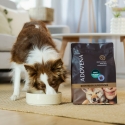 ADDVENA Boosted by Superfoods Adult Medium/Large Beef - dry dog food - 2.5kg ADDVENA Boosted by Superfoods Adult Medium/Large Beef - dry dog food - 2.5kg
