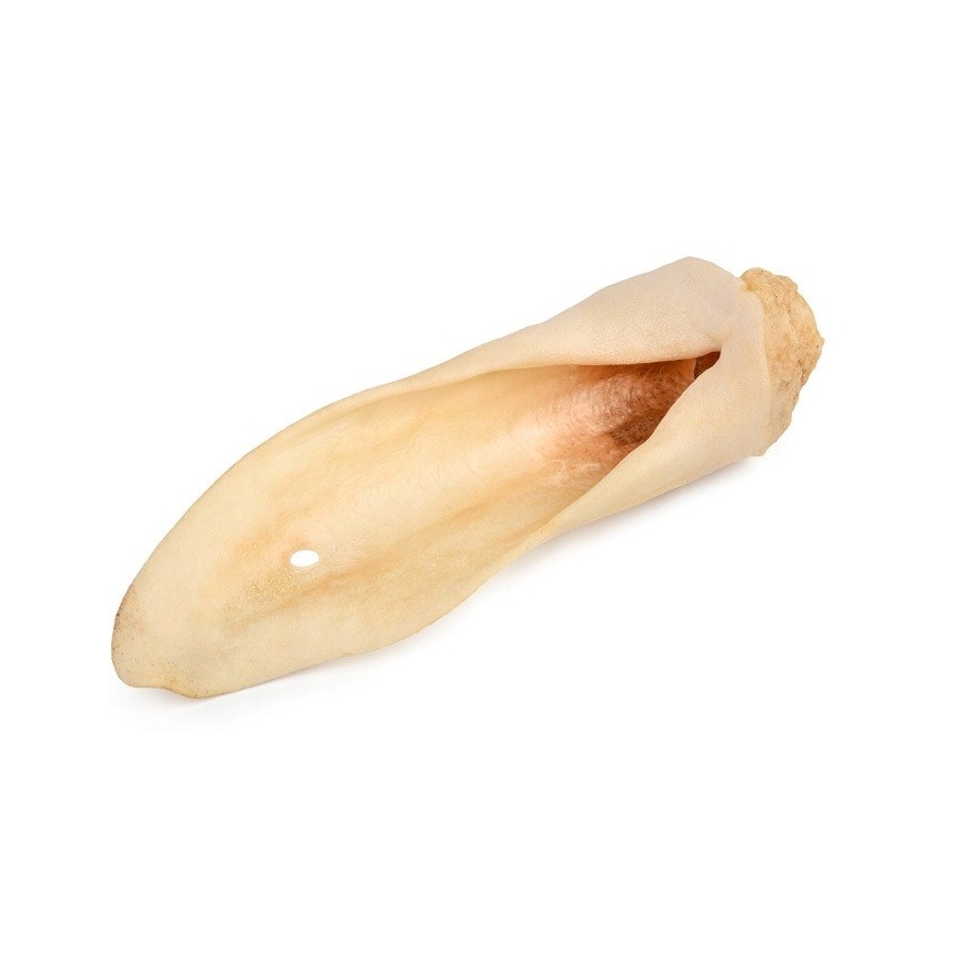PETMEX Baltas aviganis ausis Mono – šunų skanėstas – 10 vnt. – 2