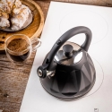 Kettle, Whistling Kettle, 2 L, Matte Black Color, Stainless Steel