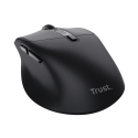Trust Zevo pele Universāla labās rokas RF bezvadu + Bluetooth optiskā 4000 DPI Trust Zevo pele Universāla labās rokas RF bezvadu + Bluetooth optiskā 4000 DPI