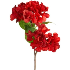 Eurofirany KW/FLORE/872/JUN Red