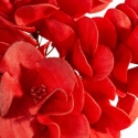 Eurofirany KW/FLORE/872/JUN Красный Eurofirany KW/FLORE/872/JUN Красный