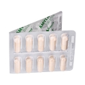VETFOOD Amylactiv Balance - papildai šunims ir katėms - 60 vnt.