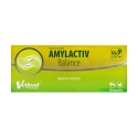 VETFOOD Amylactiv Balance - papildai šunims ir katėms - 60 vnt.