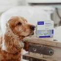 VIRBAC Megaderm fatty acids supporting skin and coat - supplements for dogs and cats - 28x4ml VIRBAC Megaderm fatty acids supporting skin and coat - supplements for dogs and cats - 28x4ml