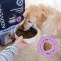 ADDVENA Power of Nature Senior Medium/Large Lamb - dry dog food - 10kg ADDVENA Power of Nature Senior Medium/Large Lamb - dry dog food - 10kg