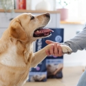 ADDVENA Power of Nature Senior Medium/Large Lamb - dry dog food - 10kg ADDVENA Power of Nature Senior Medium/Large Lamb - dry dog food - 10kg