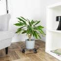 Mondex ProGarden Plant Stand with Wheels 31.5 cm Black