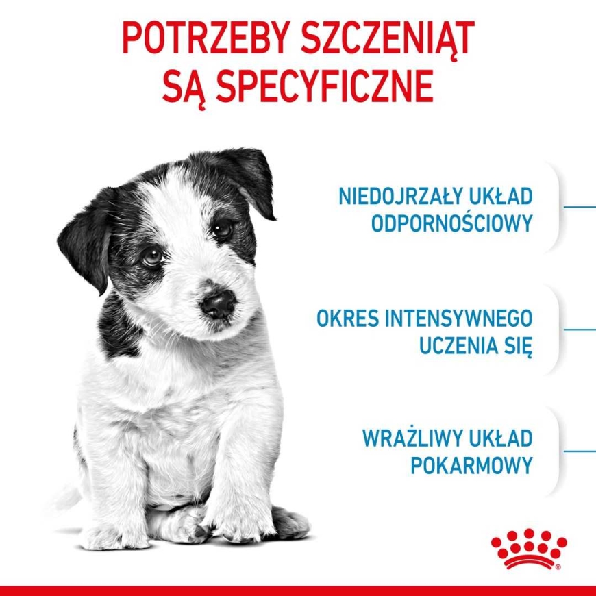 Royal Canin ROYAL CANIN Kutsikad Mini - kuiva koeratoit - 8 kg. – 5