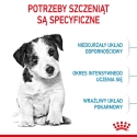 Royal Canin ROYAL CANIN Щенки Мини - сухой корм для собак - 8 кг. Royal Canin ROYAL CANIN Щенки Мини - сухой корм для собак - 8 кг.