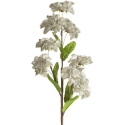 Eurofirany KW/FLORE/865/POP POPI Eurofirany KW/FLORE/865/POP POPI