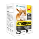 EUROWET Wita-Vet Energia - papildinājumi kaķiem - 120 tabletes EUROWET Wita-Vet Energia - papildinājumi kaķiem - 120 tabletes