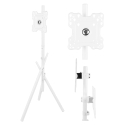 Maclean TV Floor Stand/Mount, 27–55", max. VESA 200x200, max. 60 kg, MC-181 W Maclean TV Floor Stand/Mount, 27–55", max. VESA 200x200, max. 60 kg, MC-181 W