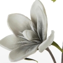 Eurofirany KW/FLORE/748/POP POPI+B Eurofirany KW/FLORE/748/POP POPI+B