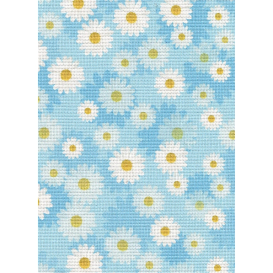 Beldizart Dizainerio drobė Aida 18 40x30 cm SKD-064