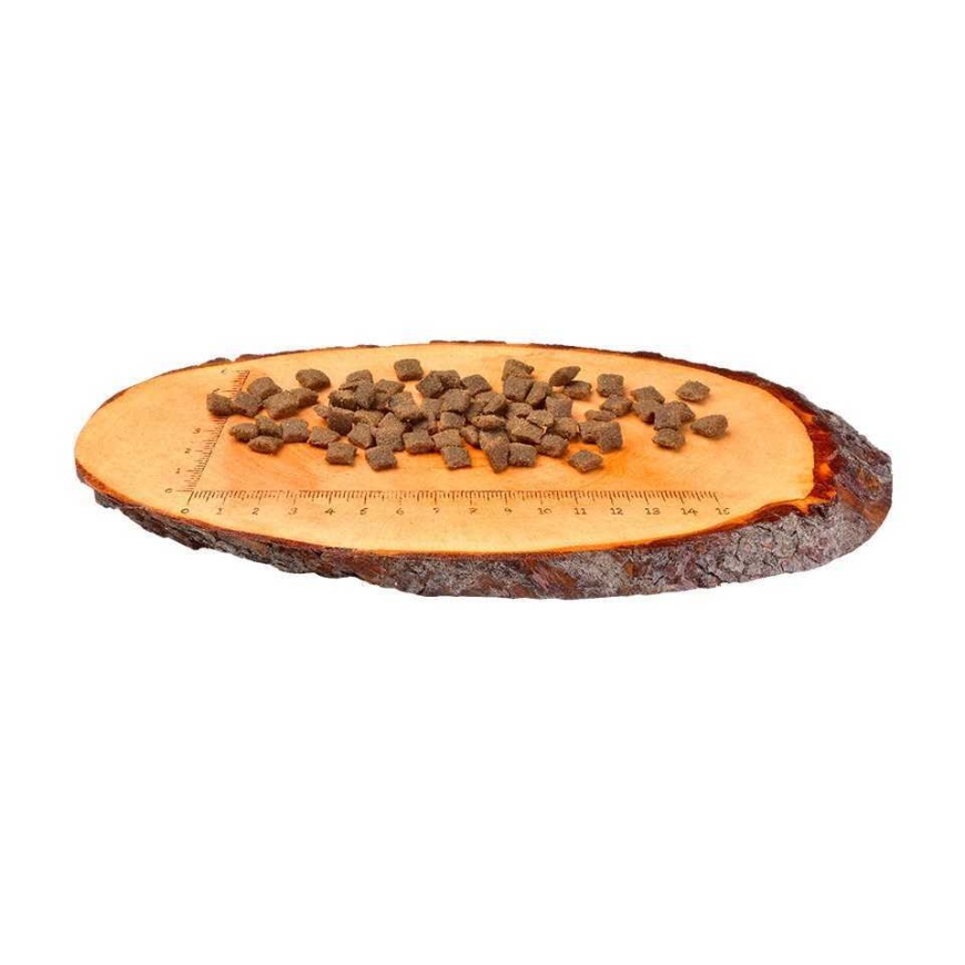 CARNILOVE Carnilove 400g KOT STERILISED LAMB WILD – 2