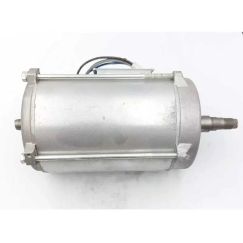 Dedra elektrimootor