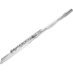 Roland Aerophone Brisa Skaitmeninis Pučiamasis Instrumentas