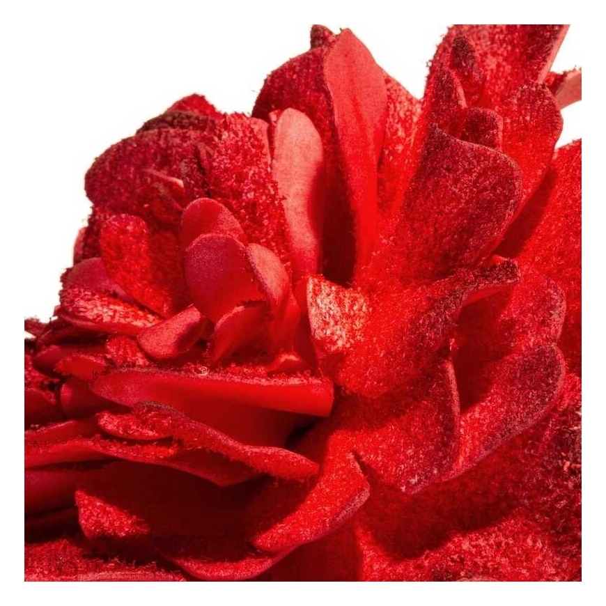 Eurofirany KW/FLORE/875/JUN Raudonas – 2