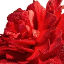 Eurofirany KW/FLORE/875/JUN Red Eurofirany KW/FLORE/875/JUN Red