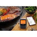GEFU CONTROL Bluetooth термометр, 6 каналов GEFU CONTROL Bluetooth термометр, 6 каналов