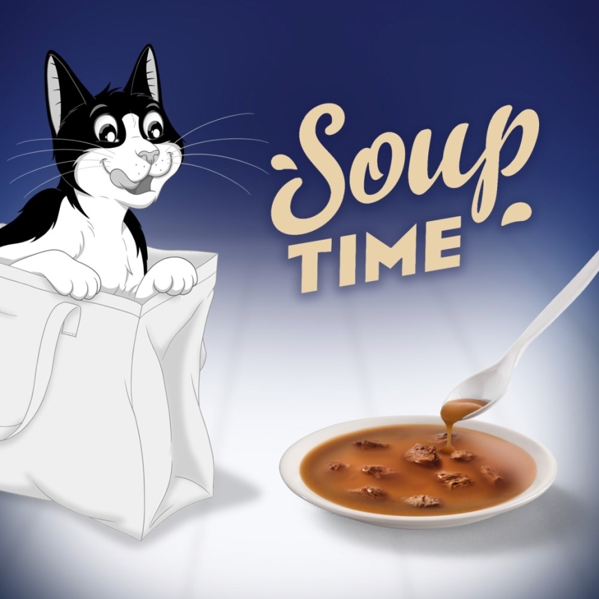 PURINA Felix Original Soup Time Box Рыба - мокрый корм для кошек - 6x48г – 3