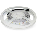 V-tac 6W/m LED lente, 12V, 30LED/m, 6500K, 5 metru ruļļi V-tac 6W/m LED lente, 12V, 30LED/m, 6500K, 5 metru ruļļi