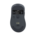 White Shark GAWAIN-B 500mAh/12000DPI/56g, Black White Shark GAWAIN-B 500mAh/12000DPI/56g, Black