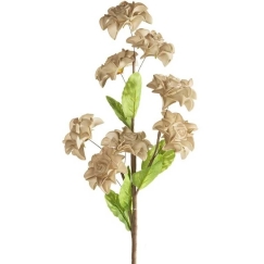 Eurofirany KW/FLORE/865/C.B C.BEIGE