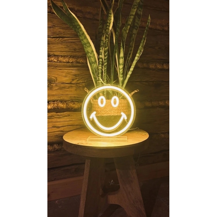 Eko-Light 2Kids Toys LED NEON LIGHT lampka Smajlík – 3