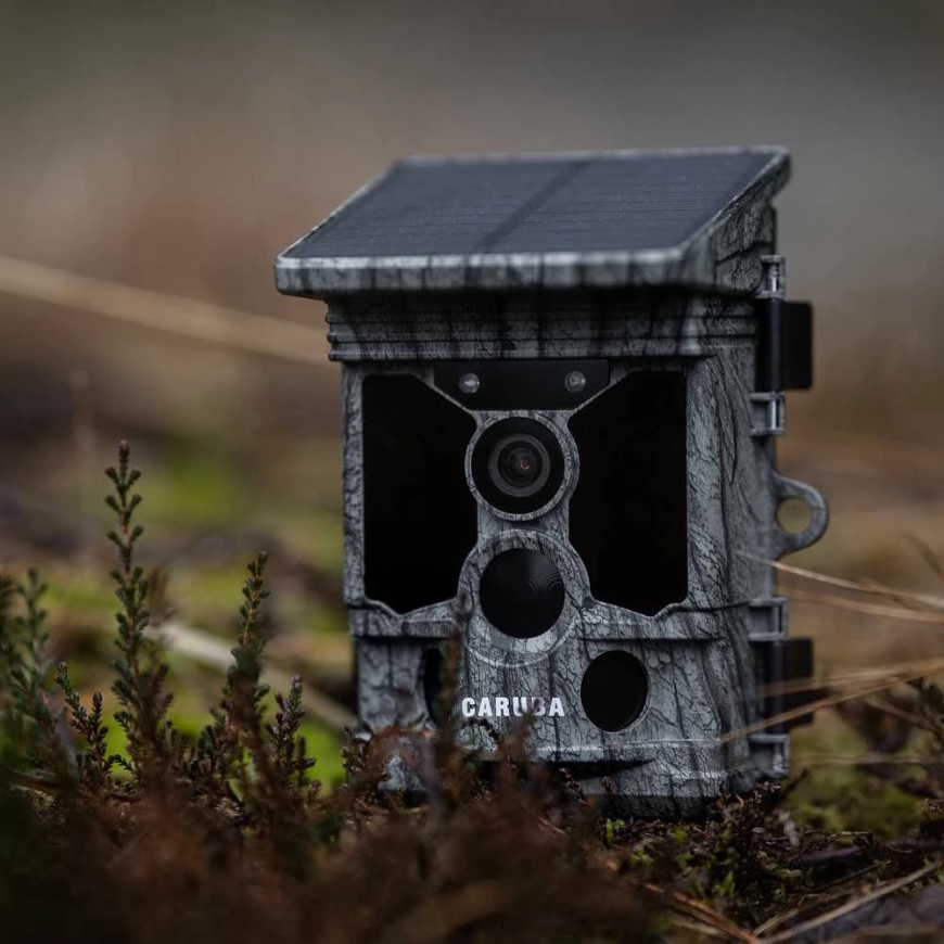 Kameros - Caruba Wildcamera Raccoon Solar 4K, 46MP, WiFi, 32GB – 5