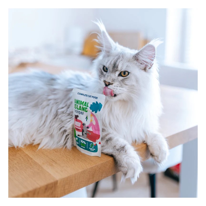ANIMAL ISLAND Beef in broth - wet cat food - 40x85g – 3
